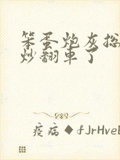 笨蛋炮灰总被爆炒翻车了