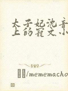 太子妃沈音和皇上的宠文小说