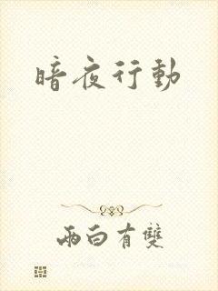 暗夜行动