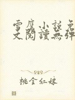 雪鹰小说免费全文阅读无弹窗封面