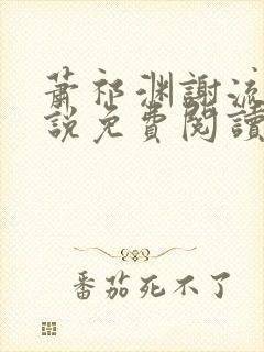 萧祁渊谢流铮小说免费阅读最新章节封面