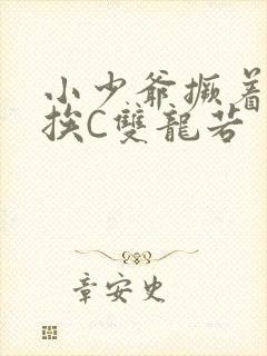 小少爷撅着屁股挨C双龙若封面