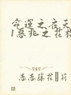 命运之夜天之杯1恶兆之花樱花动漫封面