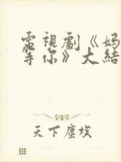 电视剧《妈妈在等你》大结局