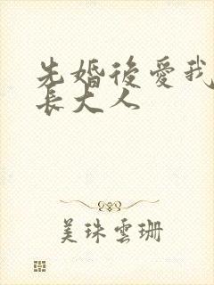 先婚后爱我的市长大人封面