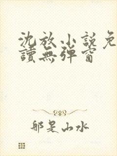 沈放小说免费阅读无弹窗封面