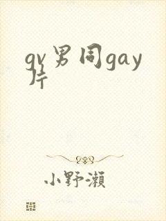 gv男同gay片