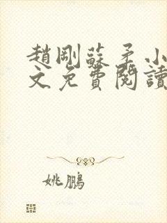 赵刚苏柔小说全文免费阅读封面