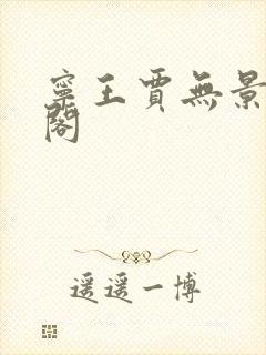 宁王贾无景笔趣阁