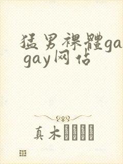 猛男裸体gay gay网站