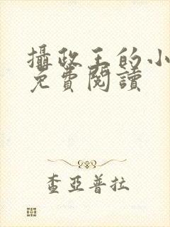 摄政王的小宠妃免费阅读