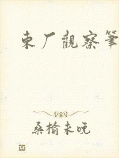 东厂观察笔记封面