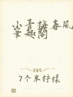 小青梅春风榴火笔趣阁