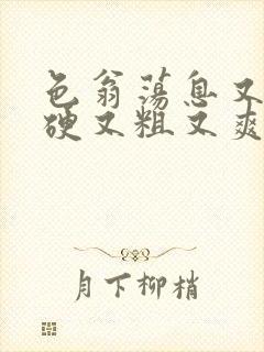 色翁荡息又大又硬又粗又爽小莹