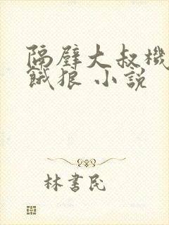 隔壁大叔机长是饿狼 小说