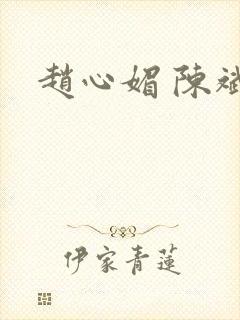 赵心媚 陈斌封面