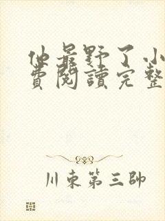 他最野了小说免费阅读完整版无弹窗封面