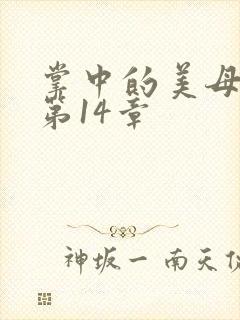 掌中的美母版主第14章封面