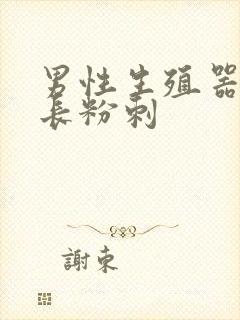 男性生殖器根部长粉刺