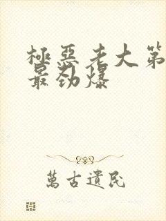 极恶老大第几集最劲爆