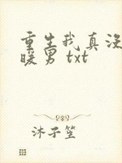 重生我真没想当暖男 txt封面