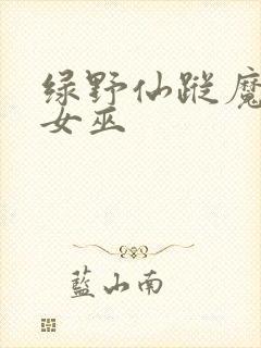绿野仙踪魔法坏女巫封面
