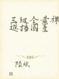 三级全黄裸体无遮挡国产