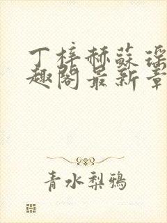 丁梓赫苏瑶馨笔趣阁最新章节