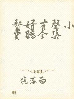 赘婿有声小说免费听全集封面