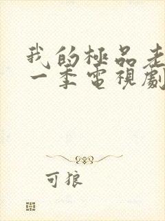 我的极品老婆第一季电视剧免费观看