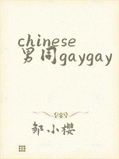 chinese男同gaygay