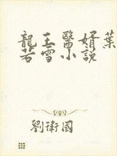 龙王医婿叶凡唐若雪小说