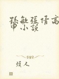 孙敏张倩高义王申小说