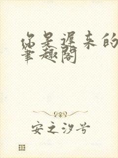 你是迟来的欢喜笔趣阁