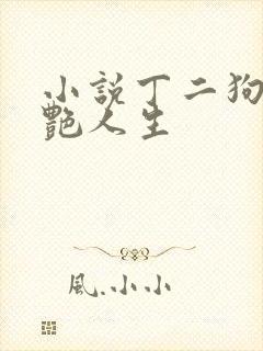 小说丁二狗的猎艳人生封面