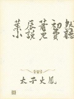 叶辰萧初然有声小说免费听