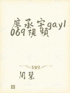 廖承宇gay1069视频
