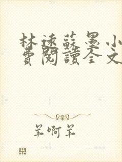 林远苏墨小说免费阅读全文最新章节