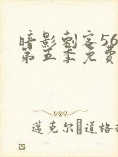 暗影刺客567第五季免费观看封面