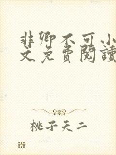 非卿不可小说全文免费阅读