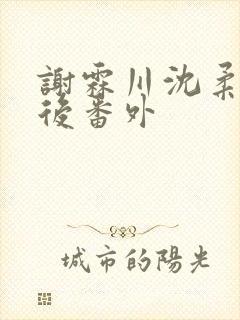 谢霖川沈柔结局后番外