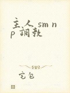 主人 sm np 调教封面
