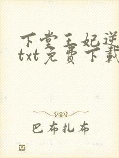 下堂王妃逆袭记txt免费下载