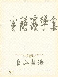 小说官梯全文免费阅读丁长生听书