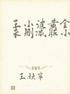 王小波黄金时代未删减版小说