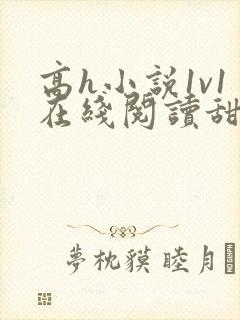 高h小说1v1在线阅读甜宠