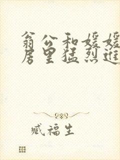 翁公和媛媛在厨房里猛烈进出