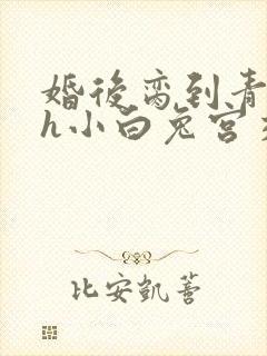 婚后脔到青梅哭h小白兔宫交h