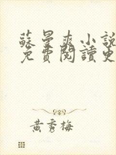 苏曼爽小说全文免费阅读更新时间