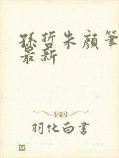 孙哲朱颜笔趣阁最新